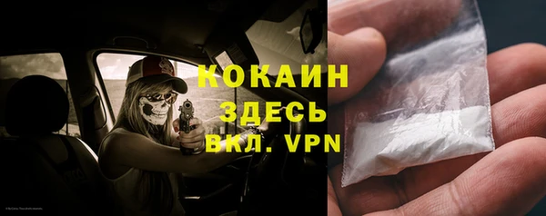 спиды Няндома