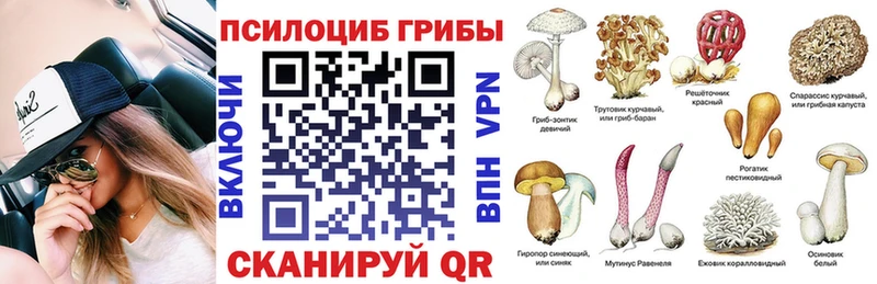 Купить закладки  Юхнов  Галлюциногенные грибы мухоморы 